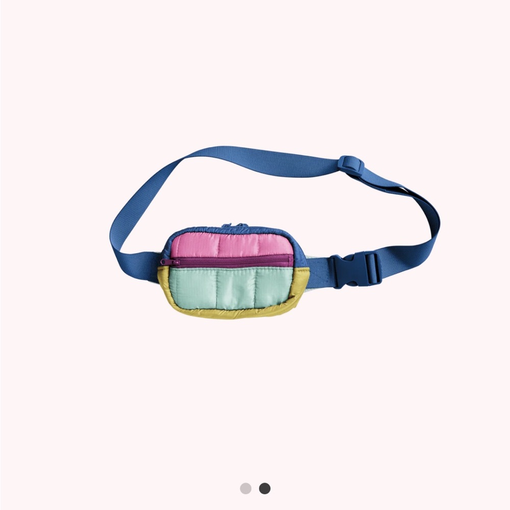 Free shipping! NWT Small Belt Bag - Talking Out Of Turn - Blue Pink Sage Green